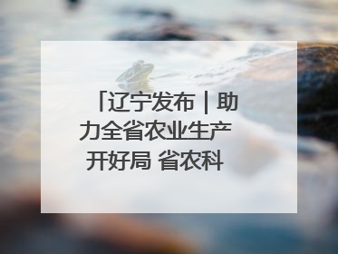 辽宁发布｜助力全省农业生产开好局 省农科院科技服务春耕备耕成效显著